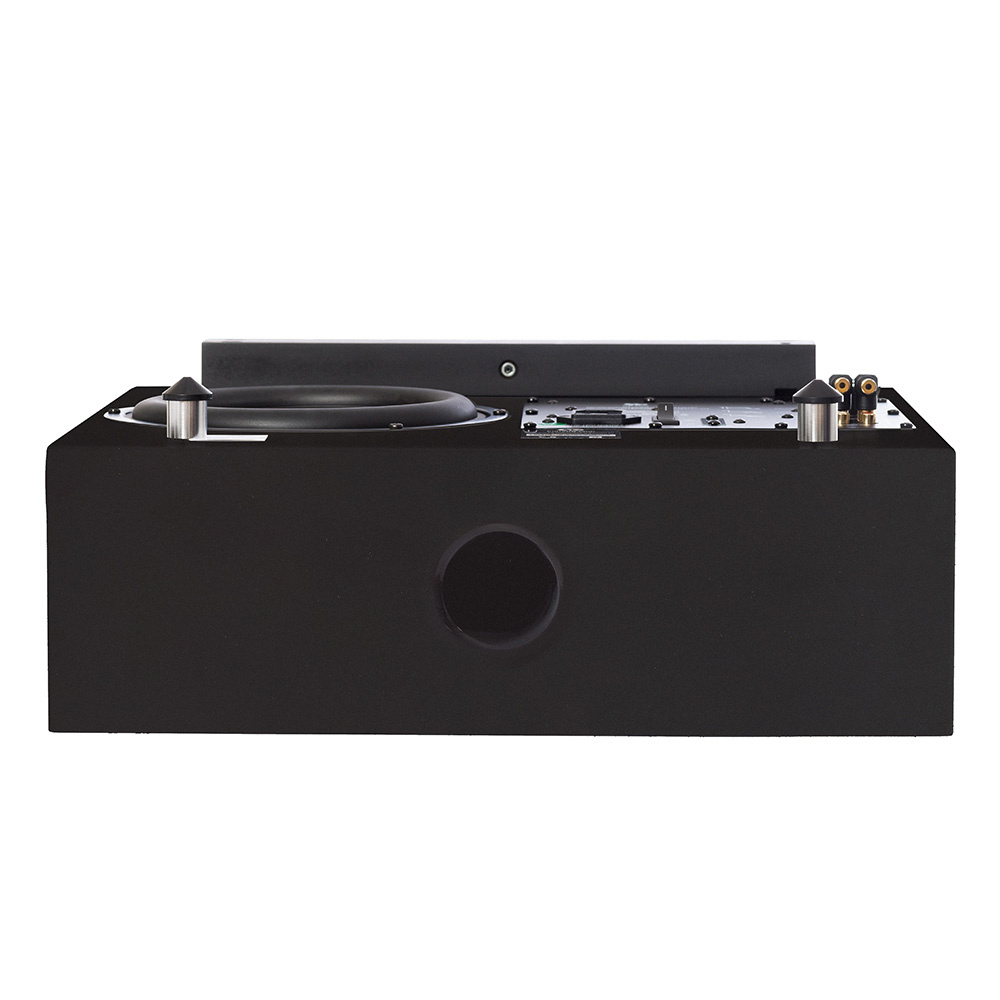 DLS Flatsub Midi vägghängningsbar aktiv subwoofer, mattsvart