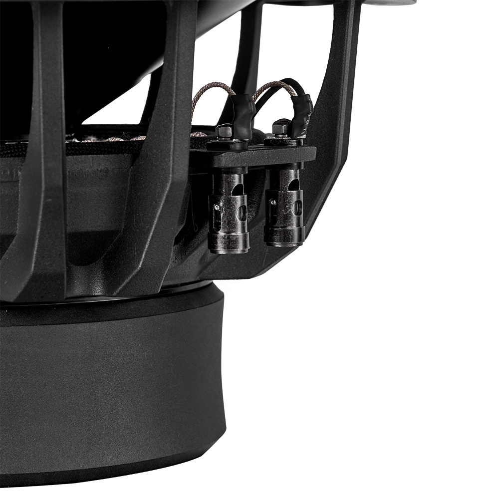 DLS Reference Supreme RSW10.D2, fantastisk 10 tums bas