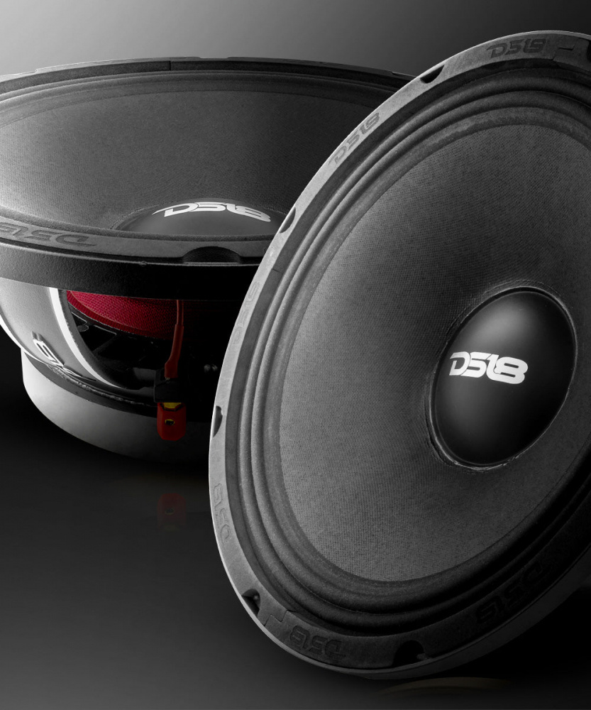 DS18 PRO-FU12.4, tung 12 tums midbas, styck