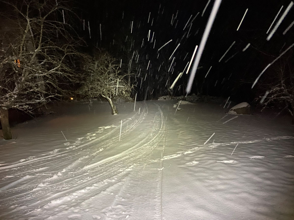 Nizled LED Pannlampa / Ficklampa, 10W