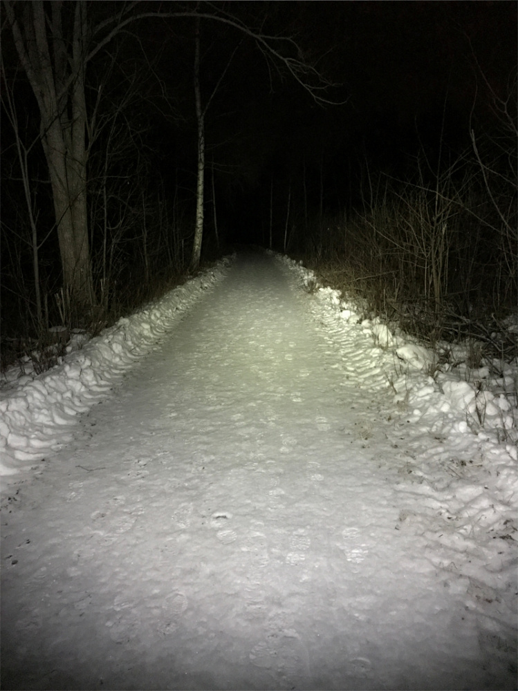 Nizled LED Pannlampa / Ficklampa, 10W