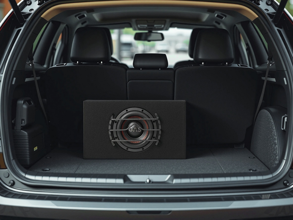 GAS MAX B1-18E, riktigt tung 1x8 tum baslåda