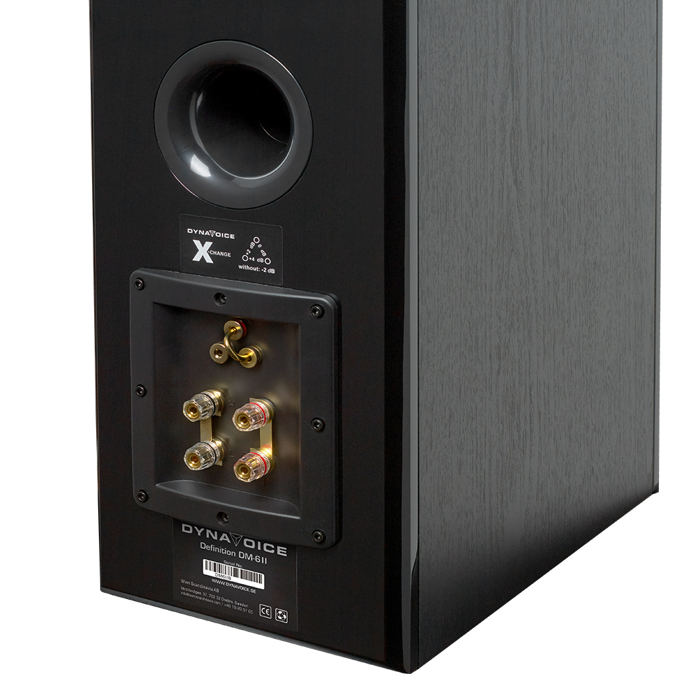 Dynavoice Definition DM-6II stativhögtalare, svart